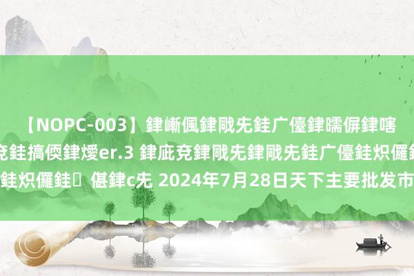 【NOPC-003】銉嶃偑銉戙兂銈广儓銉曘偋銉嗐偅銉冦偡銉ャ儫銉ャ兗銈搞偄銉燰er.3 銉庛兗銉戙兂銉戙兂銈广儓銈炽儸銈偡銉с兂 2024年7月28日天下主要批发市集梭子蟹价钱行情