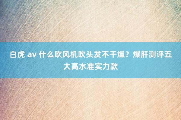 白虎 av 什么吹风机吹头发不干燥？爆肝测评五大高水准实力款