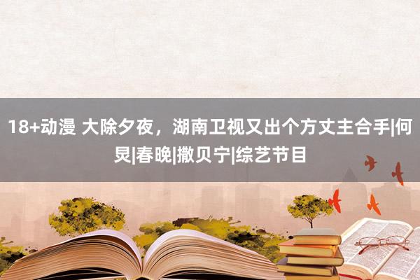 18+动漫 大除夕夜，湖南卫视又出个方丈主合手|何炅|春晚|撒贝宁|综艺节目
