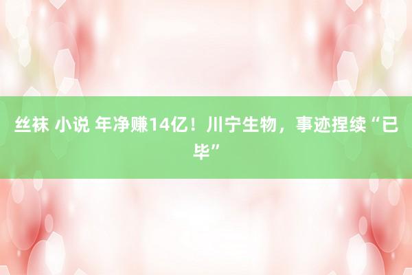 丝袜 小说 年净赚14亿！川宁生物，事迹捏续“已毕”