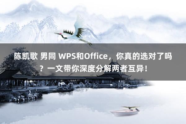 陈凯歌 男同 WPS和Office，你真的选对了吗？一文带你深度分解两者互异！