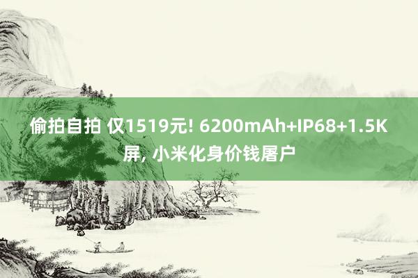 偷拍自拍 仅1519元! 6200mAh+IP68+1.5K屏， 小米化身价钱屠户