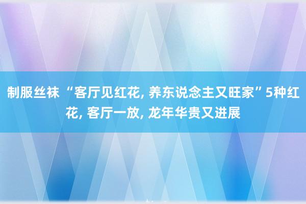 制服丝袜 “客厅见红花， 养东说念主又旺家”5种红花， 客厅一放， 龙年华贵又进展