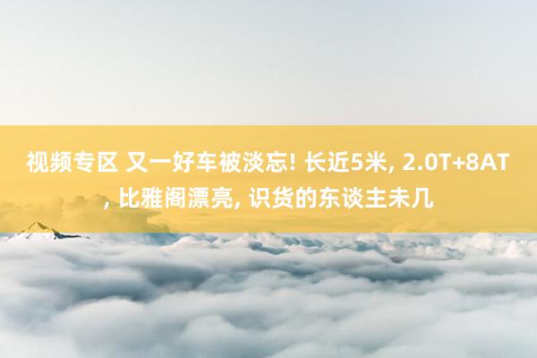 视频专区 又一好车被淡忘! 长近5米， 2.0T+8AT， 比雅阁漂亮， 识货的东谈主未几