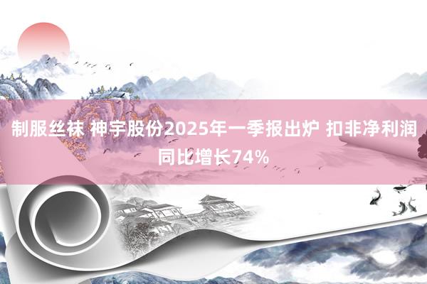 制服丝袜 神宇股份2025年一季报出炉 扣非净利润同比增长74%
