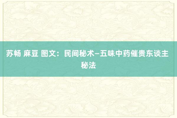 苏畅 麻豆 图文:民间秘术—五味中药催贵东谈主 秘法
